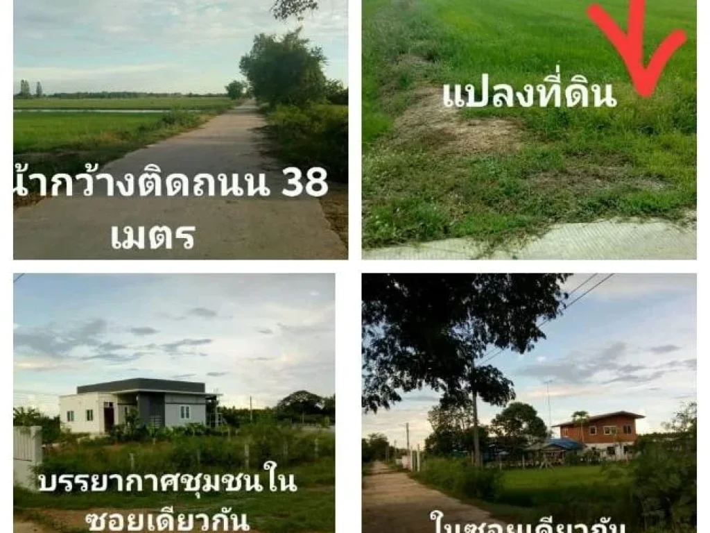 ขายที่นาจัดรูปพื้นที่4ไร่ 2 งาน 62 ตรวทำเลชานเมือง วิวทุ่งธรรมชาติสมบูรณ์