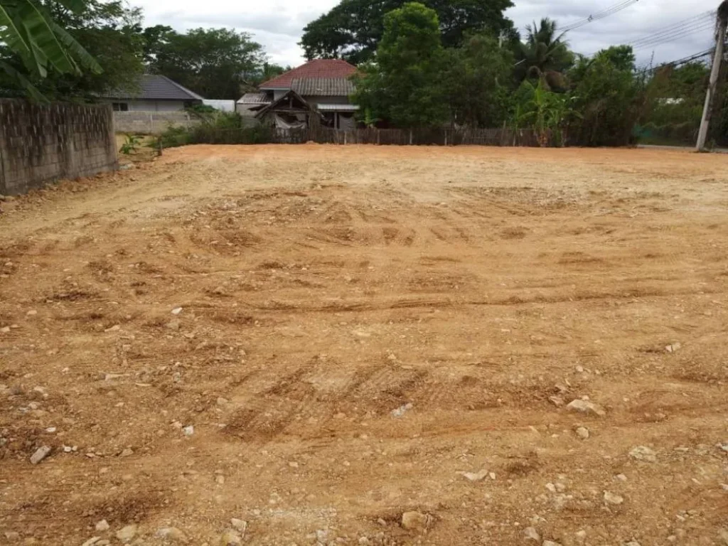 ขายที่ดินแถวหนองจ๊อม แปลงหัวมุม ถมดินแล้ว สันทราย เชียงใหม่