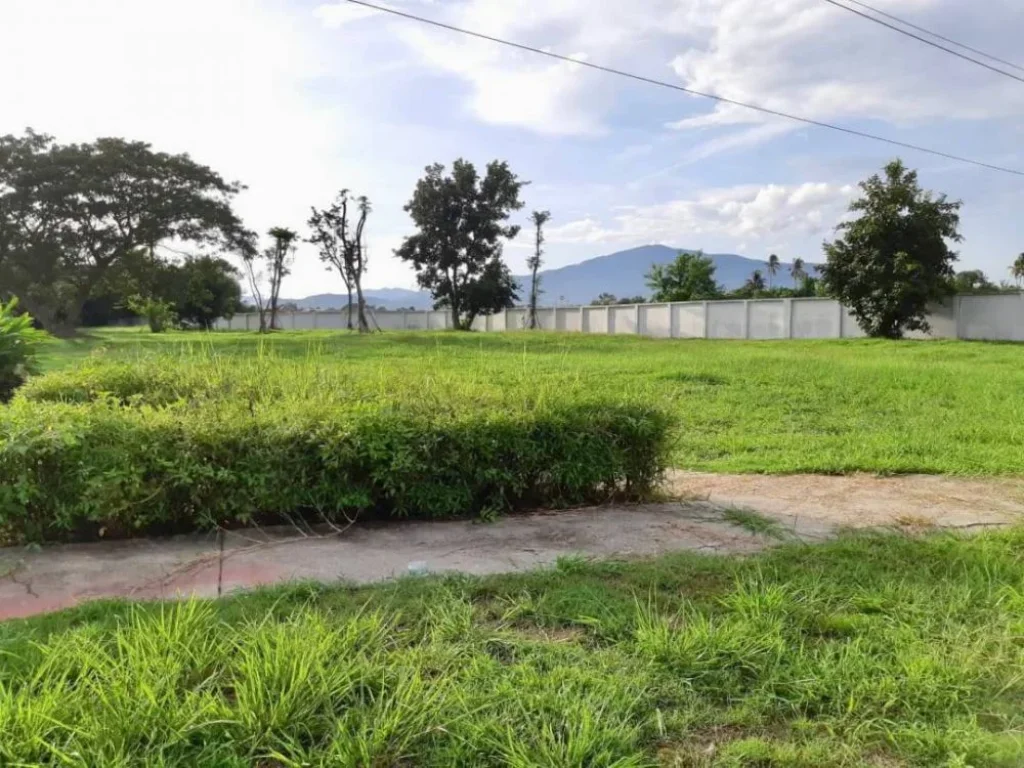 ขายที่ดินในโครงการกุลพันธ์วิลล์ 9หางดงเชียงใหม่