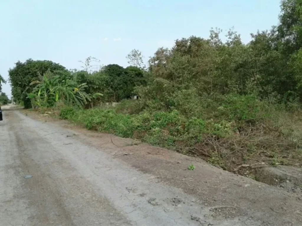 ขายที่ดินเปล่า 300 ตรว ถนนฤชุพันธ์ ซ4 เขตไทรน้อย-นนทบุรี