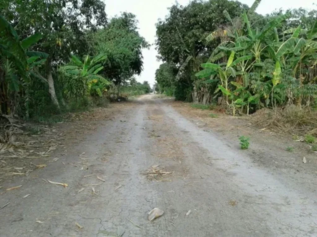 ขายที่ดินเปล่า 300 ตรว ถนนฤชุพันธ์ ซ4 เขตไทรน้อย-นนทบุรี