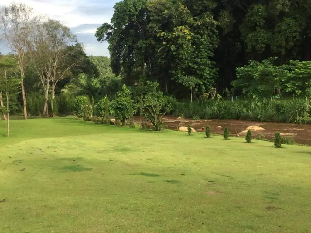 ขายที่ดินบ้านปงเหนือ ติดธารน้ำหางดงเชียงใหม่