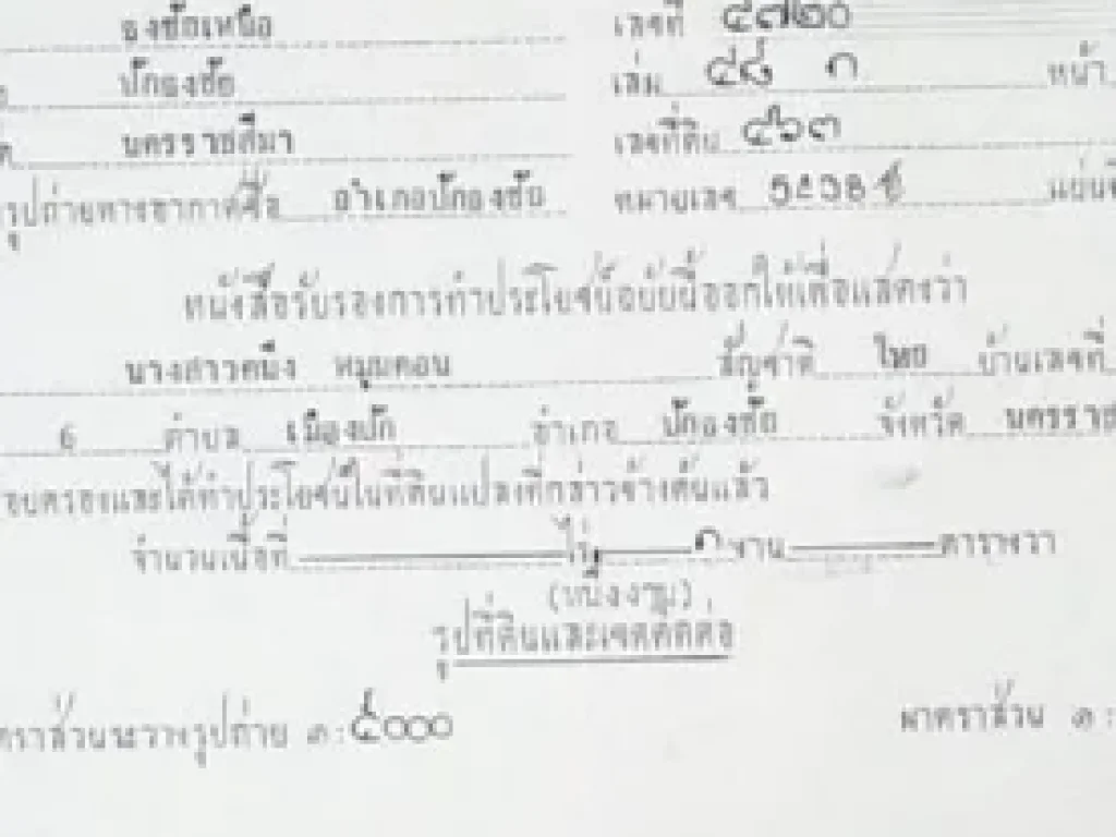 ขายที่ดิน เหมาะสำหรับอยู่อาศัย