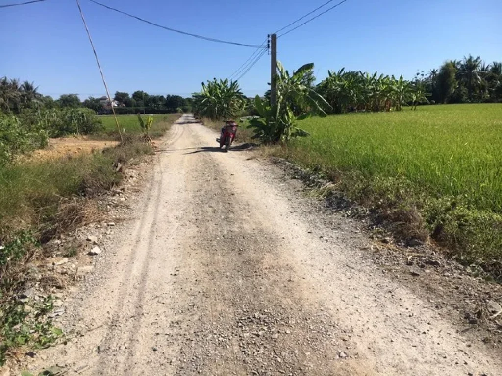 ขาย ที่ดิน 300 ตรว พุทธมณฑลสาย 5 แปลงสี่เหลี่ยม เหมาะสร้างบ้านอยู่อาศัย