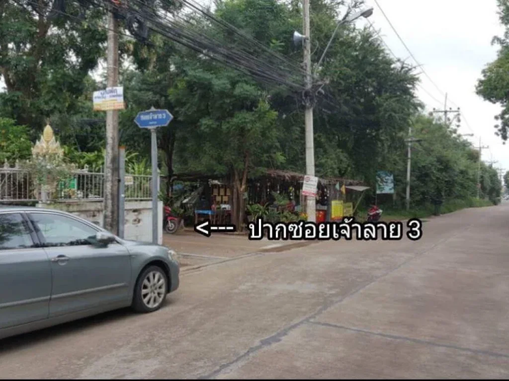 ขายที่ดิน ซอยเจ้าลาย3 เขตอำเภอชะอำ จังหวัดเพชรบุรี