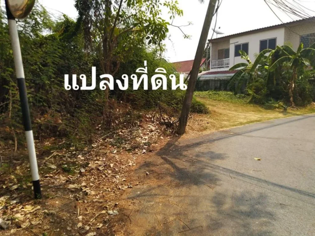 ขายที่ดินถมแล้วอยู่ในตัวเมืองสิงห์บุรี พื้นที่ 118 ตรว