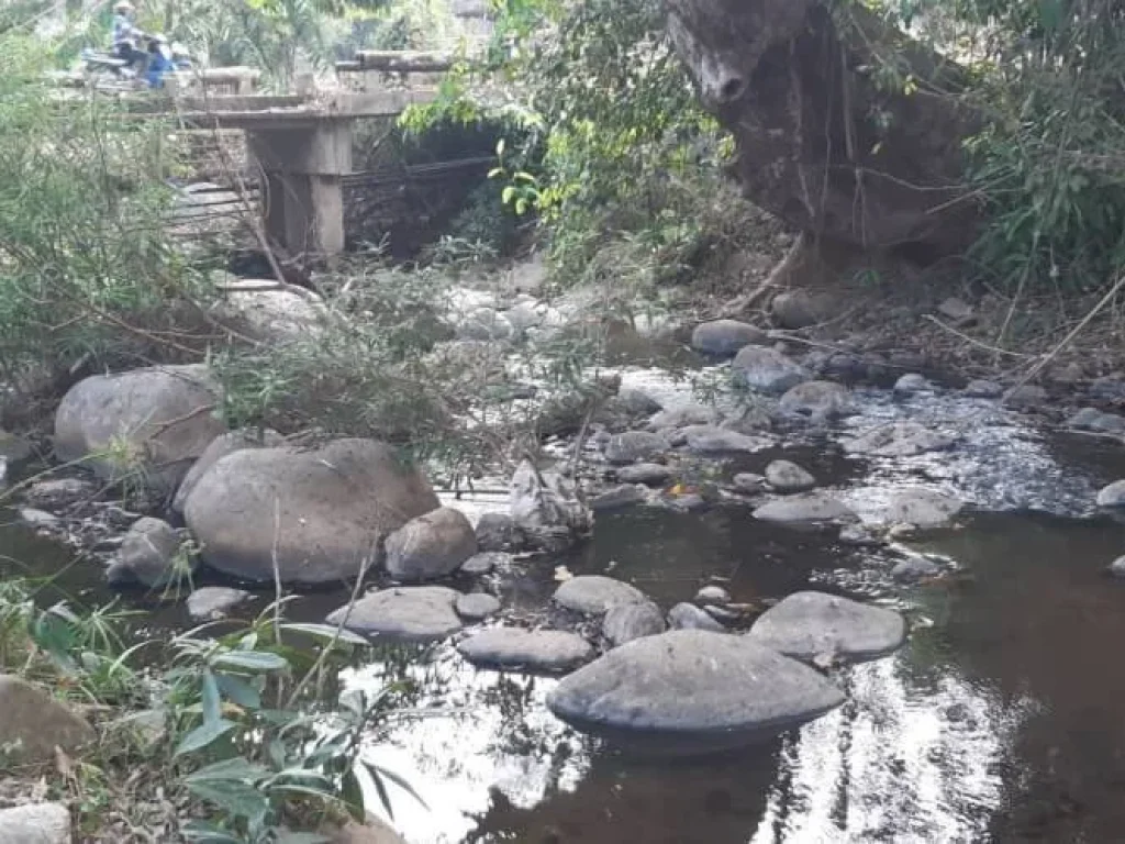 ขายที่ดินวิวดอย ติดธารน้ำ ห่างถนนหลัก 150 เมตร บ้านปงหางดงเชียงใหม่