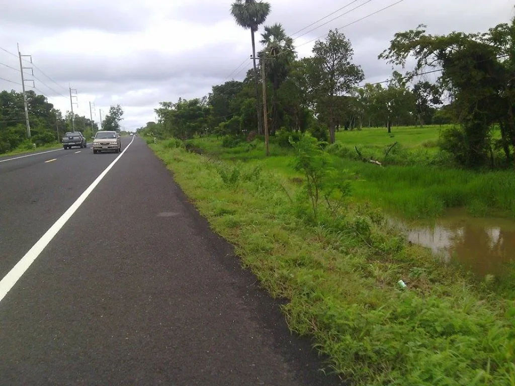 ขายที่ดิน 2 ไร่ ติดถนนใหญ่ 2050 จังหวัดอุบลราชธานี อำเภอตระการพืชผล ตำบลข้ามเปี้ย