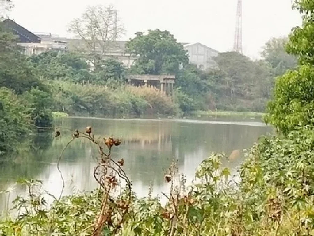 ที่ดินเปล่า ทำเล สวย ติดถนน ติดแม่น้ำป่าสัก อท่าเรือ จอยุธยา