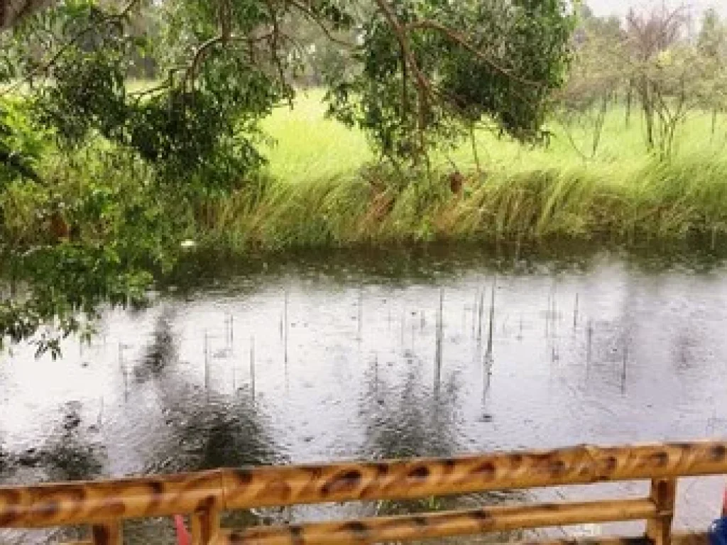 ที่ดินปทุมธานี หนองเสือ คลองสิบ เนื้อที่ 2 ไร่ เจ้าของขายเอง