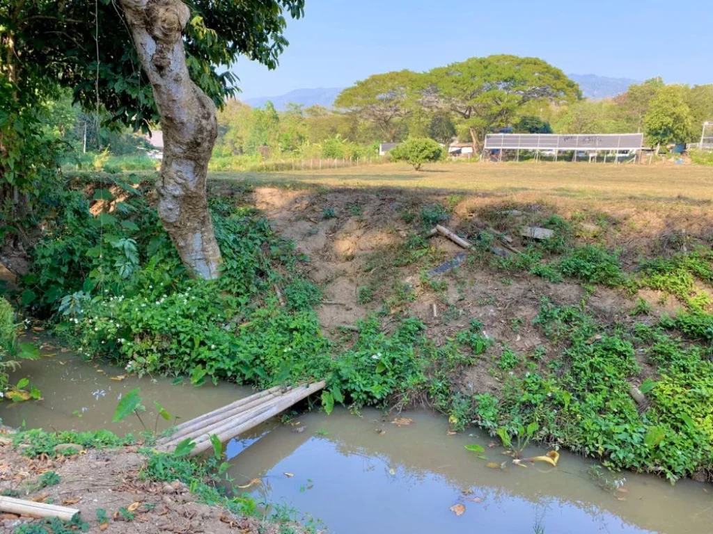 ที่ดินเปล่าวิวสวย บรรยากาศดี ใกล้เมือง วิวภูเขาล้อมรอบ ด้านหน้าติดทางหลวงแผ่นดิน สายสะเมิง-หางดง