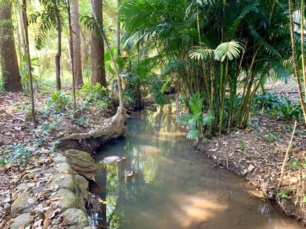 ที่ดินเปล่าวิวสวย บรรยากาศดี ใกล้เมือง วิวภูเขาล้อมรอบ ด้านหน้าติดทางหลวงแผ่นดิน สายสะเมิง-หางดง