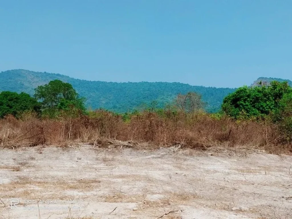 ขายที่ดินเนื้อที่ 2 ไร่ รูปที่สวย บรรยากาศดี โฉนดครุฑแดงพร้อมโอน ตเขาพระ อเมืองนครนายก