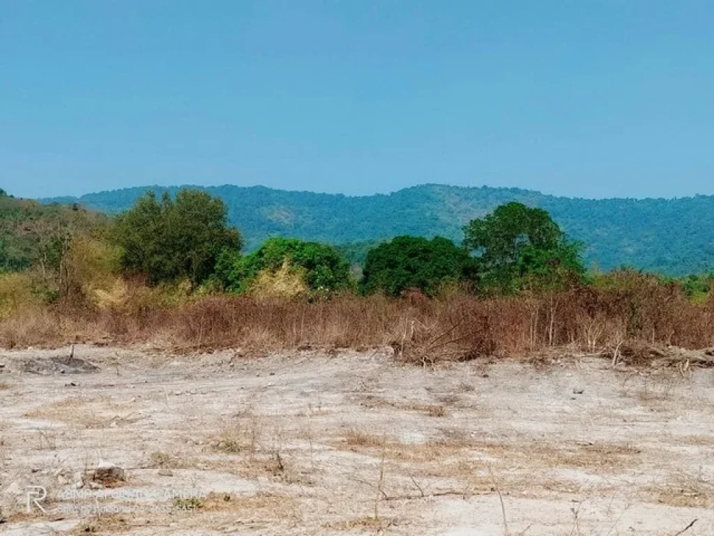 ขายที่ดินเนื้อที่ 2 ไร่ รูปที่สวย บรรยากาศดี โฉนดครุฑแดงพร้อมโอน ตเขาพระ อเมืองนครนายก