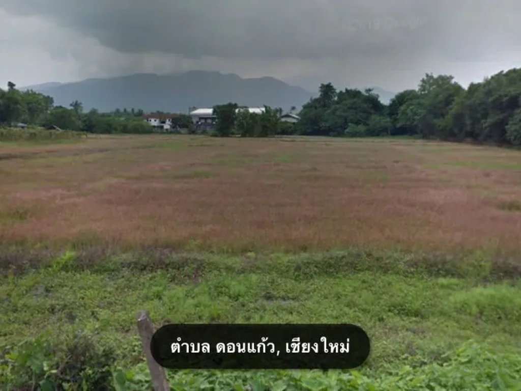 ขายที่ดินดอนแก้ว พื้นที่สีเหลือง แม่ริม เชียงใหม่