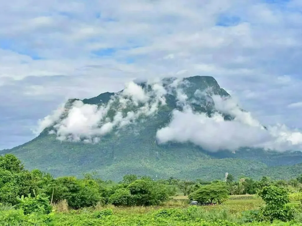 ขายที่ดินวิวหมอกภูเขา เมืองงาย เชียงดาวเชียงใหม่