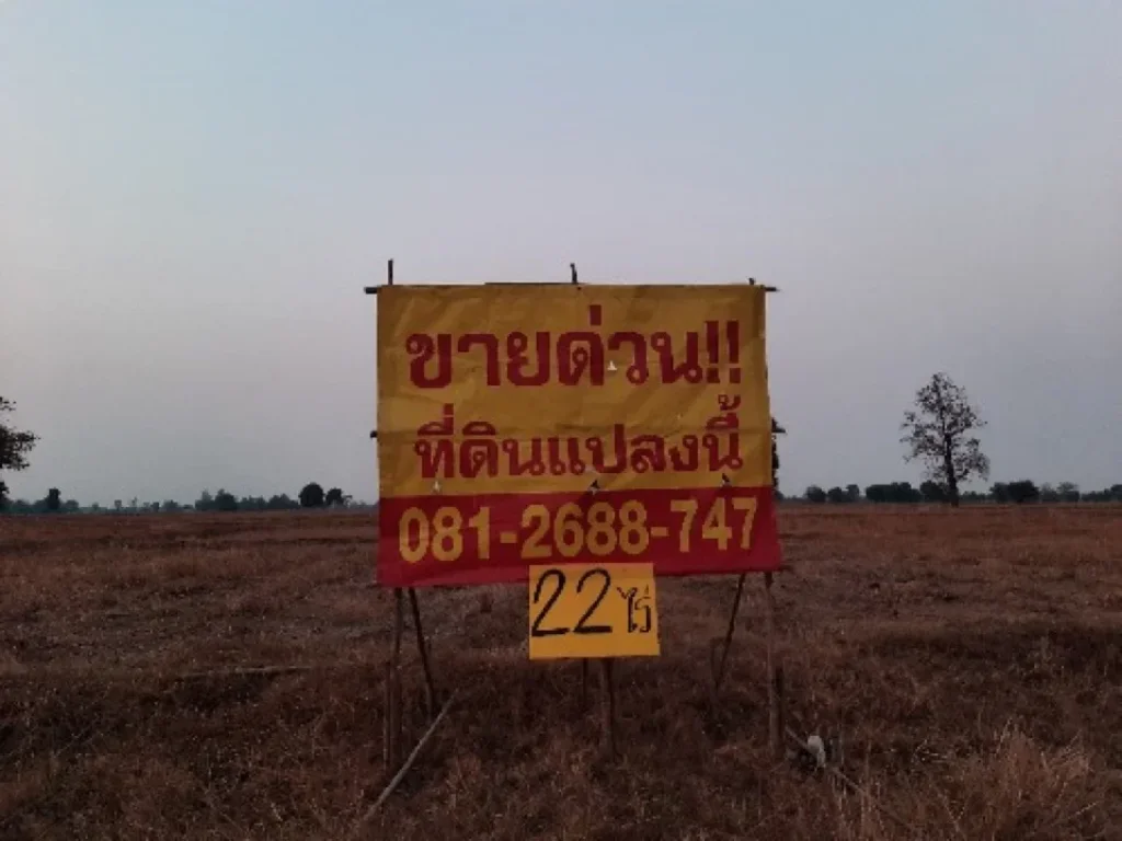 ขายที่ดิน 22-0-30 ไร่8830 ตรว ใกล้บ้านพม่า และสี่แยกจารพัต ติดถนน สุรินทร์-ศีขรภูมิ226