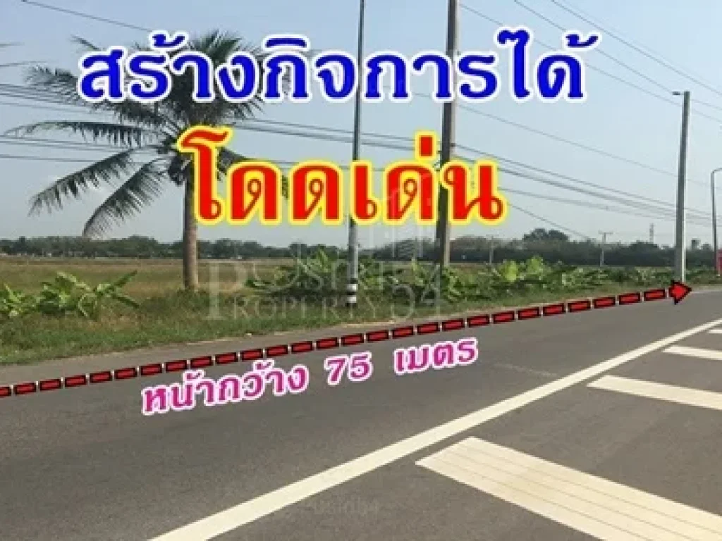 ขายที่ดินสวย 781วา สร้างกิจการและอาคารหรือถือเกร็งกำไรดี ด้วยหน้ากว้างถึง 75 เมตร ติด ถ พระราม 2 ขาเข้า ปากท่อ