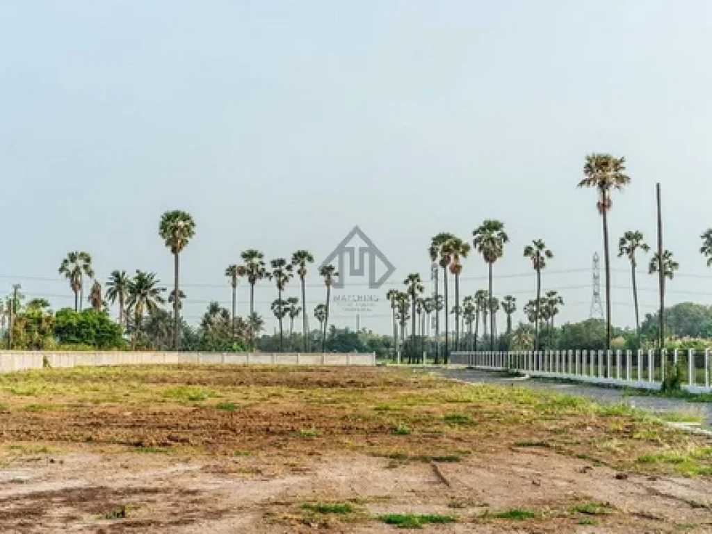 ขาย ที่ดิน สร้างบ้าน 150 ตรวา บางคูวัด ปทุมธานี บรรยากาศดี วิวทุ่งนา ใกล้ถนนศรีสมาน ติวานนท์