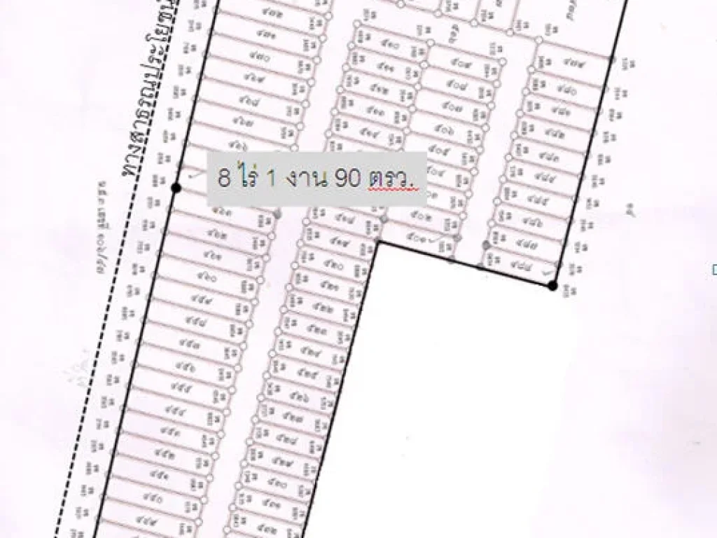 ขาย ร่วมทุนจัดสรร หรือเช่าระยะยาว