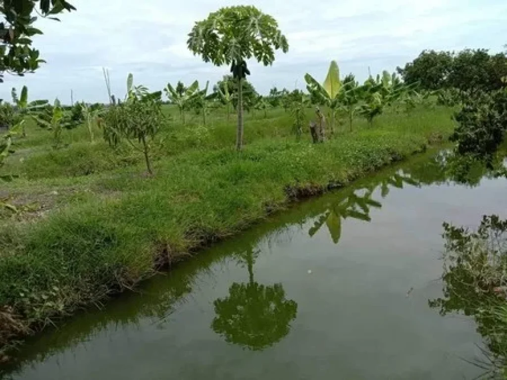 บ้านพร้อมสวนสวย ทำเลดี ติดลาดยาง จสุพรรณบุรี