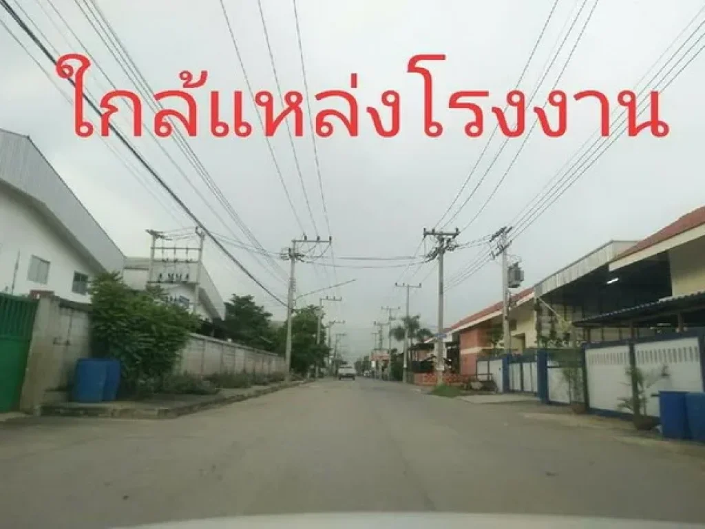 ขาย ที่ดิน สามโคก-เสนา ถนนปทุมธานี-สามโคก อสามโคก จปทุมธานี