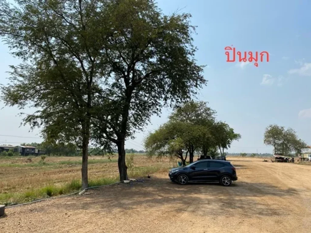 ขายที่ดินจำนวน 4แปลง แยกโฉนด จำนวน 23 ไร่ 341 งาน 9541ตรว อำเภอวังน้อย พระนครศรีอยุธยา