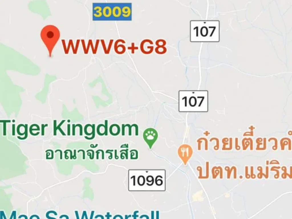 ขายที่ดินแม่ริมเชียงใหม่ แหล่งท่องเที่ยว เนื้อที่ 109 ไร่ สามารถแบ่งขาย 50 ไร่ได้