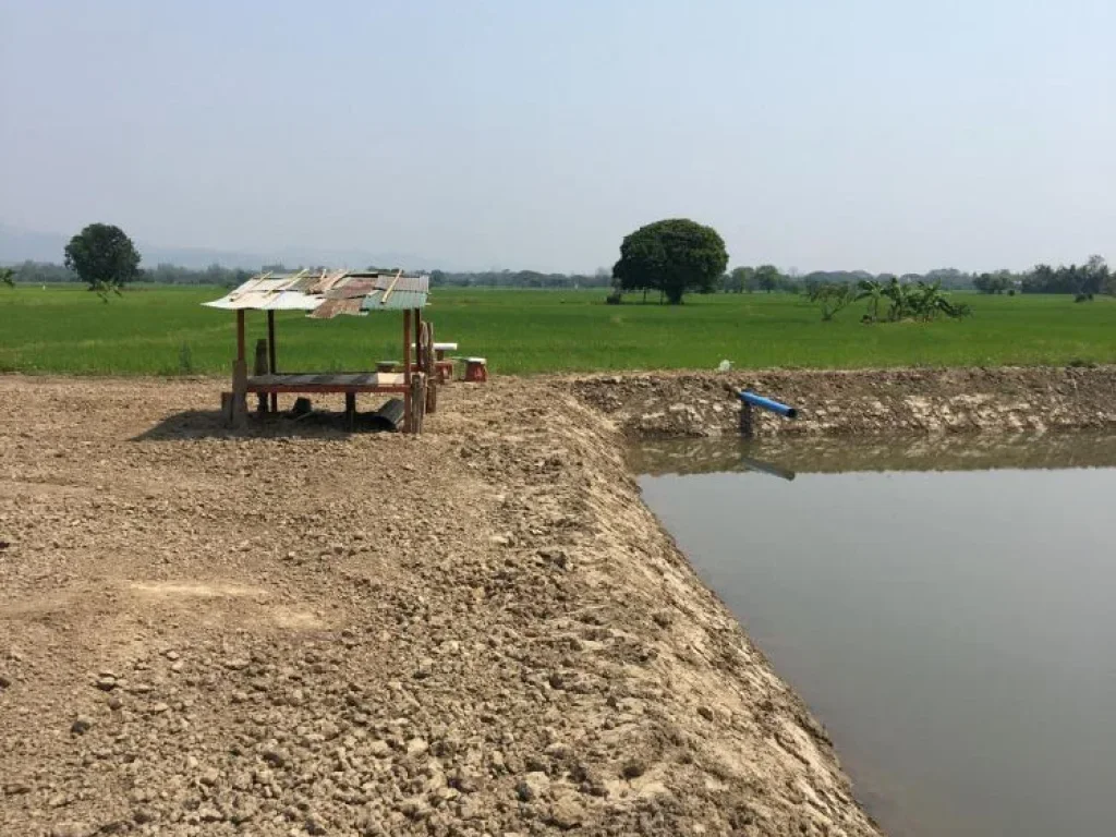 ขายที่ดินวิวดอย สันโป่งแม่ริม มีบ่อน้ำ ถมดินเรียบร้อย