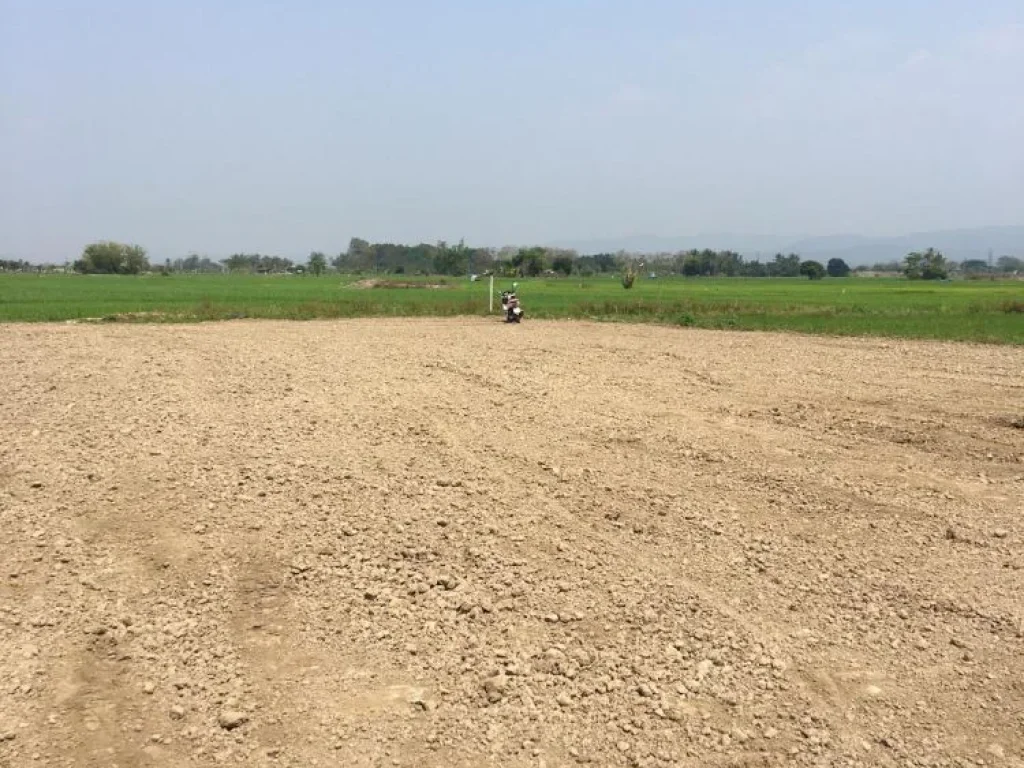 ขายที่ดินวิวดอย สันโป่งแม่ริม มีบ่อน้ำ ถมดินเรียบร้อย