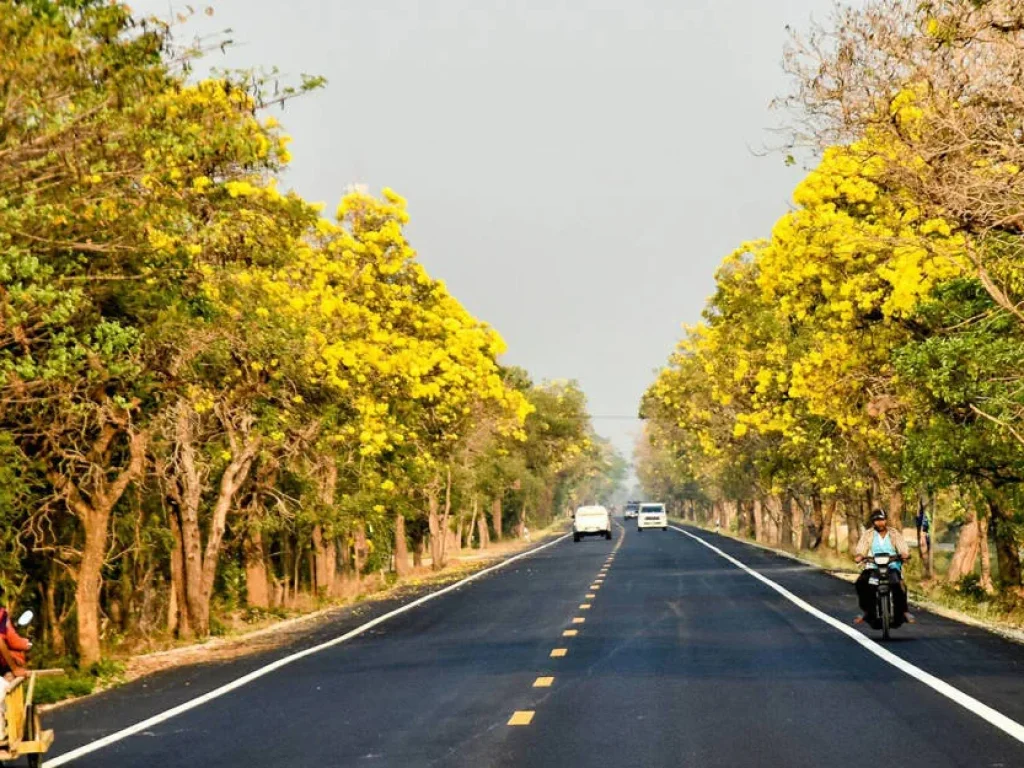 ลดโหดประชดโควิด ราคาพิเศษ ที่ดินสวย 1 ไร่ ริมถนนสายดอกไม้สุพรรณบุรี