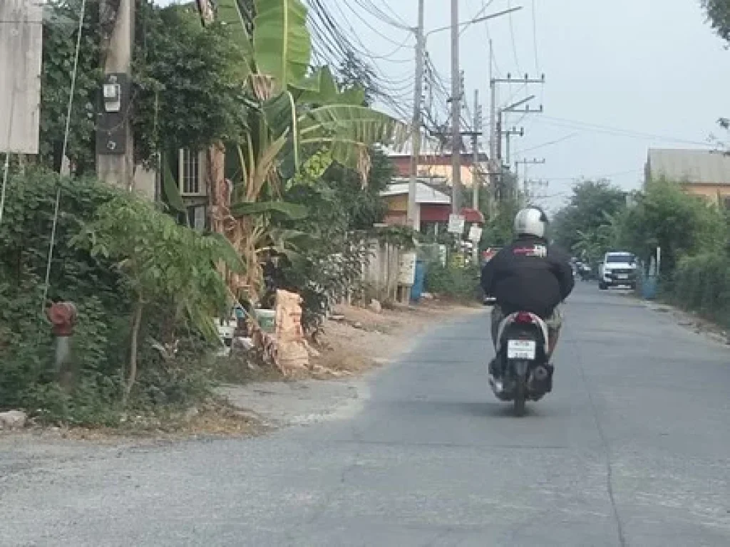 ขายที่ดินสองไร่ ถมแล้ว คลองสาม คลองหลวง จประทุมธานี