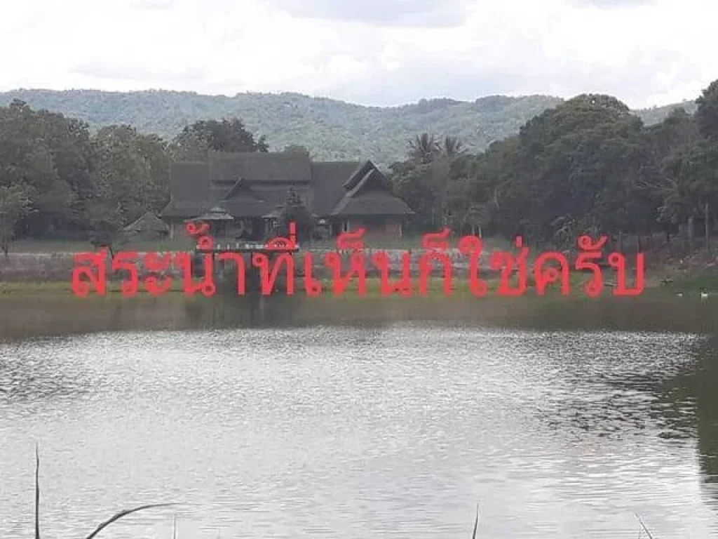 ที่ดิน อเวียงป่าเป้า บ้านสันติสุข หมู่ 1 จังหวัดเชียงราย 27ไร่