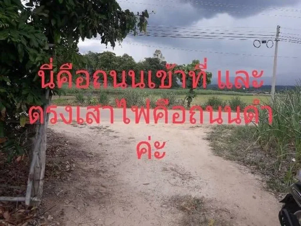 ที่ดิน อเวียงป่าเป้า บ้านสันติสุข หมู่ 1 จังหวัดเชียงราย 27ไร่