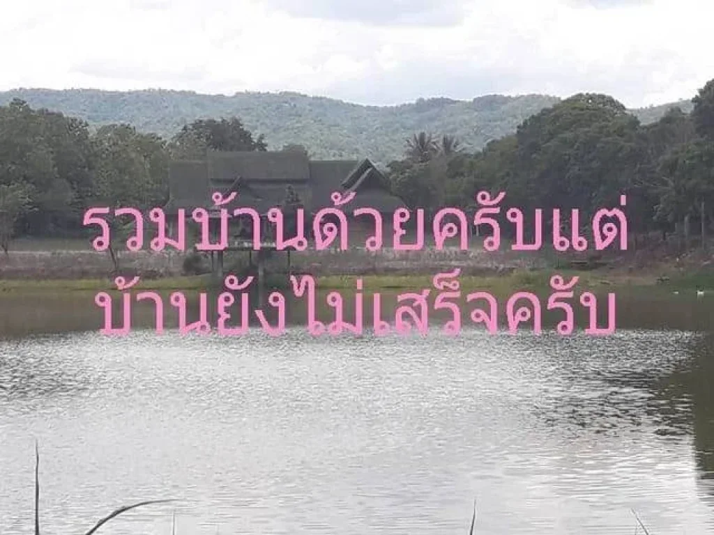 ที่ดิน อเวียงป่าเป้า บ้านสันติสุข หมู่ 1 จังหวัดเชียงราย 27ไร่