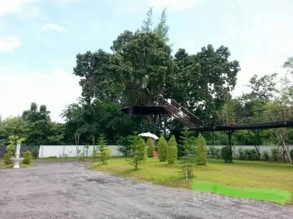 ขายที่ดินพร้อมบ้านสามารถเปิดร้านกาแฟค้าขายได้ ลำพูน