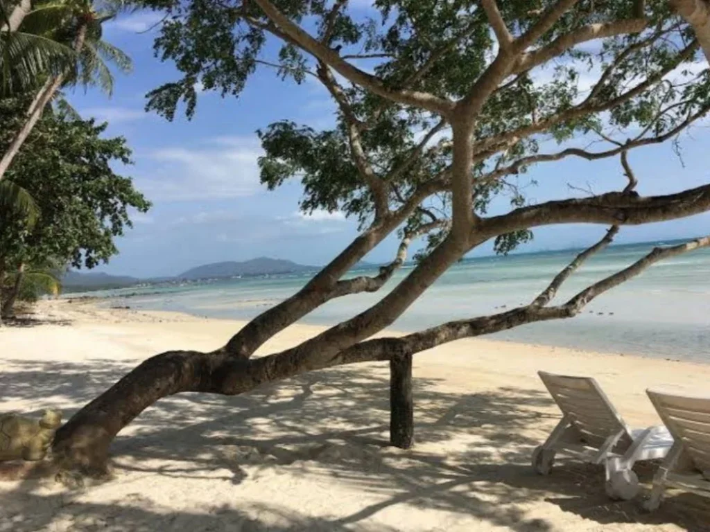 ขายที่ดินติดทะเลติดหาดเกาะสมุย