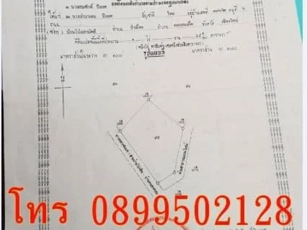 ขายที่ดินเชียงใหม่ ทำเลทอง ที่ดิน 1-0-65 ตารางวา