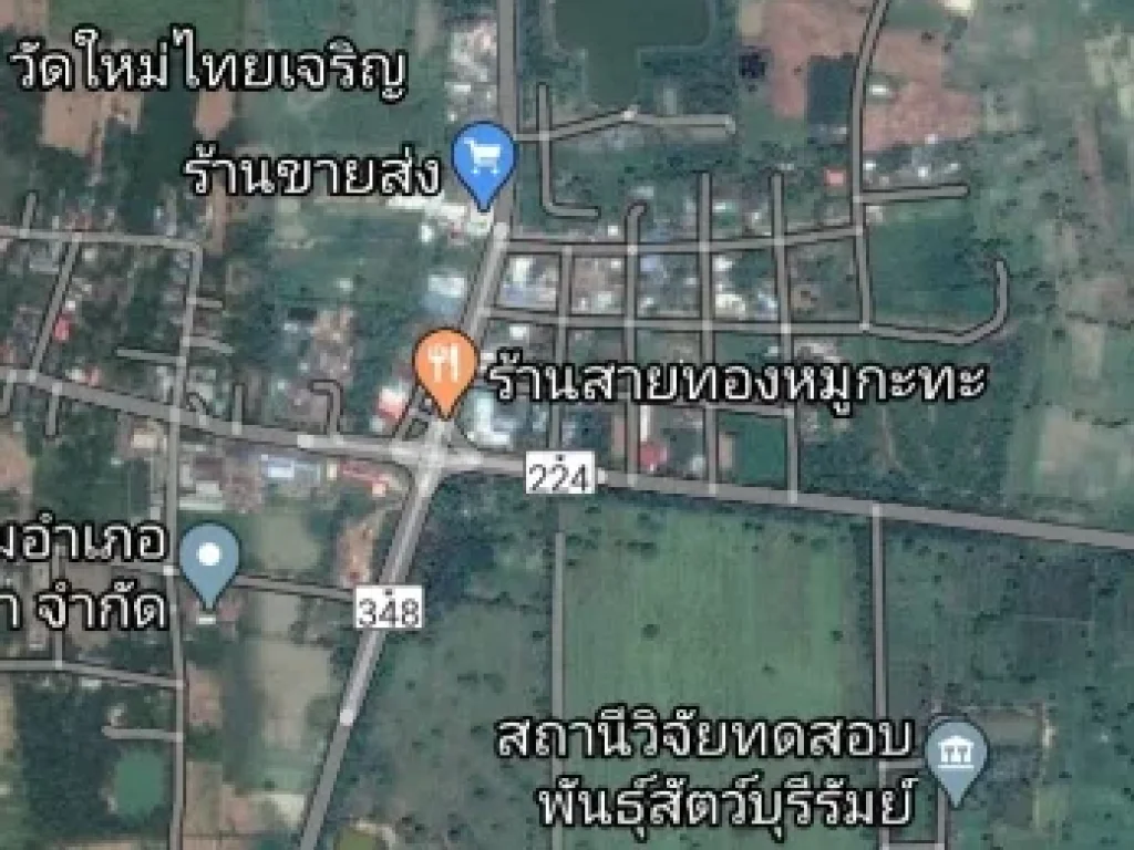 ขาย ที่ดิน 21 ไร่ ติดถนนดำ โครงการก่อสร้างทางหลวง 348 ปะคำ บุรีรัมย์