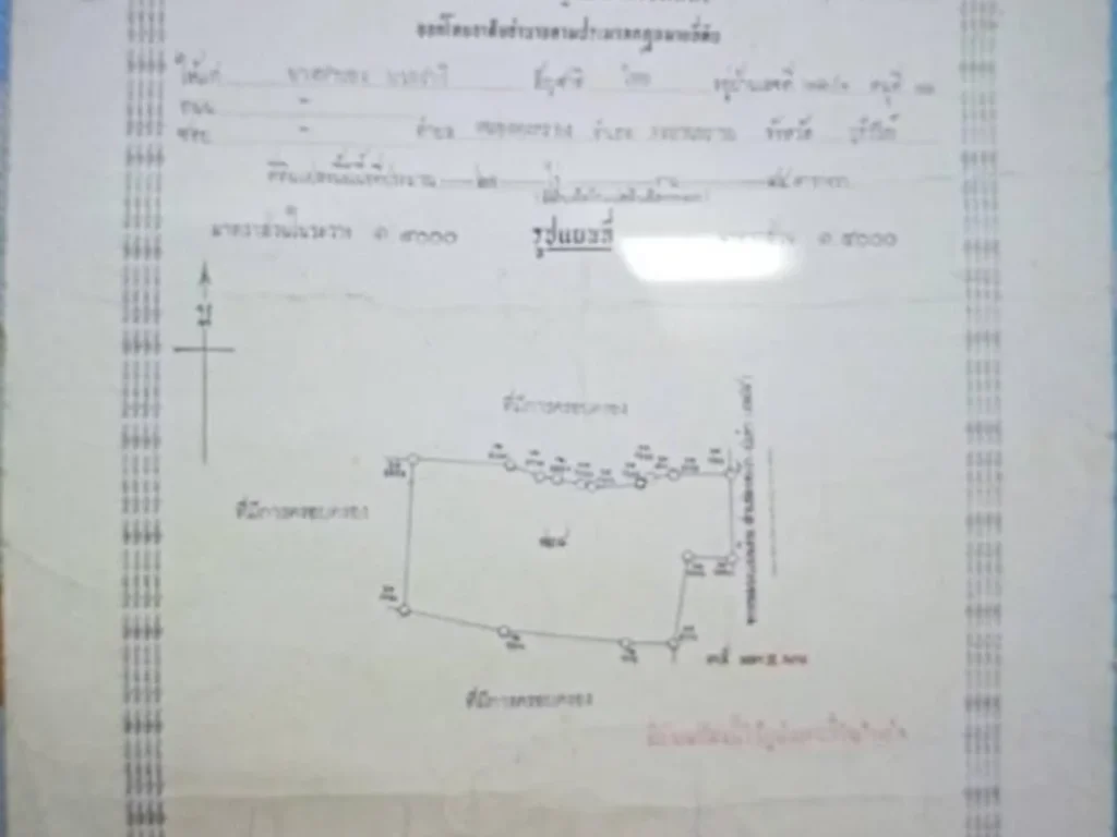 ขาย ที่ดิน 21 ไร่ ติดถนนดำ โครงการก่อสร้างทางหลวง 348 ปะคำ บุรีรัมย์