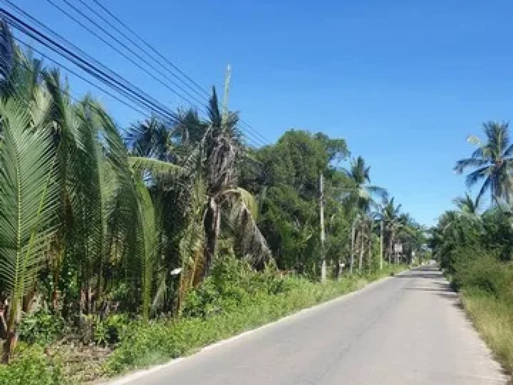 ขายที่ดินใกล้ถนนพระรามสอง ตบ้านบ่อ อเมืองสมุทรสาคร เนื้อที่ 614 ตรวๆละ8000บาท