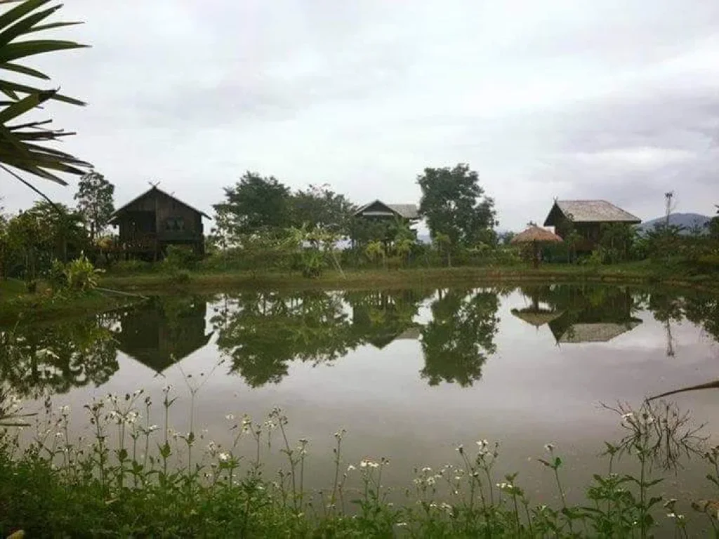 ขายรีสอทร์เมืองงาย เชียงดาว วิวสวย เชียงใหม่