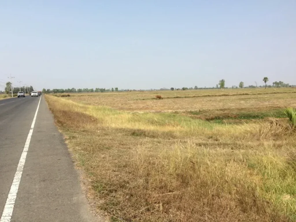 ขาย ที่ดิน ถนนยางชุมน้อย-ศรีสะเกษ อยางชุมน้อย จศรีสะเกษ