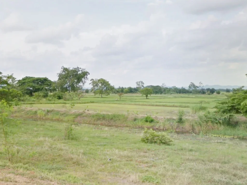 ขายที่ดินแปลงใหญ่กว่า 200 ไร่ ราคาถูก ติดคลอง พระพุทธบาท สระบุรี