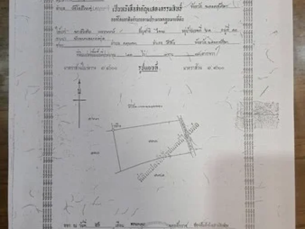 ที่ดิน จังหวัดนครราชสีมา เนื้อที่ 19 ไร่ เจ้าของขายเอง