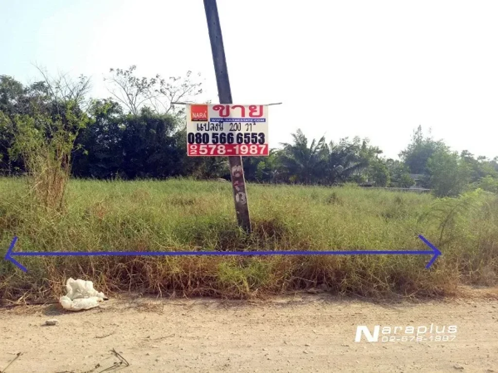 ขายที่ดิน ขนาด 200 ตรว 2 แปลงติดกัน ซคลองหกตะวันออก 82 คลองหลวง