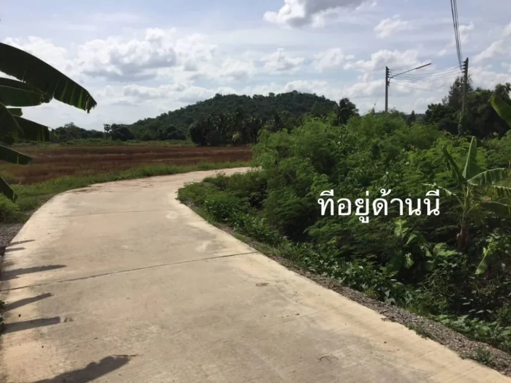 ขายที่ 24ไร่ 80ตรว ตเขาขลุง อบ้านโป่ง จราชบุรี ที่อยู่เส้นบ่อเจ๊ก-สระสี่มุม