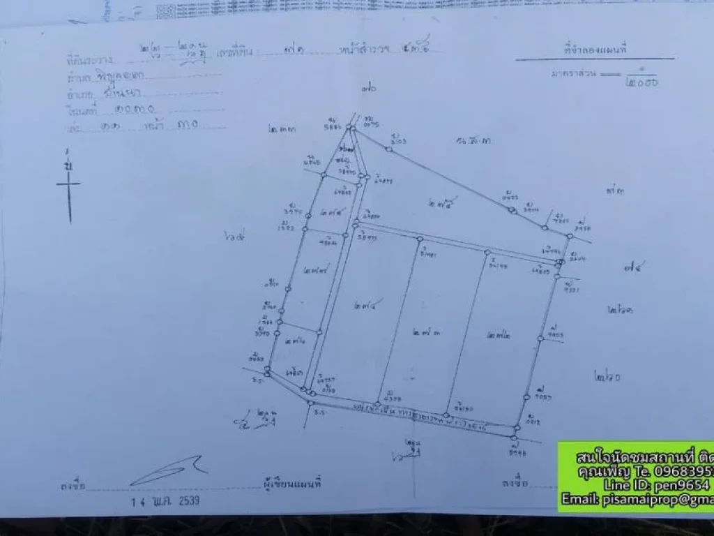 ขายที่ดิน 19 ไร่ 3 ตารางวา ตำบลพิกุลออก นครนายก ไม่แบ่งขาย ประปาเข้าถึง