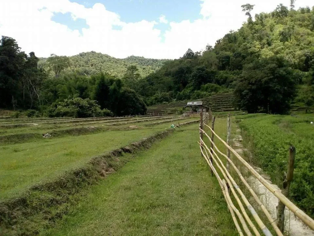 ขายที่ดินวิวดอย สะเมิงใต้ เชียงใหม่