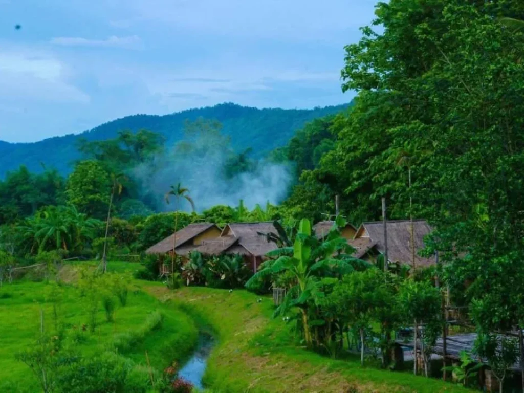 ขายรีสอทร์วิวดอย พร้อมดำเนินกิจการ แม่แตง สบเปิง